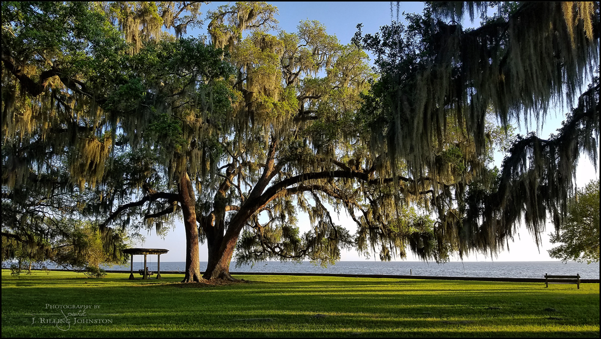 Welcome To Our Fair City… | Mandeville Louisiana